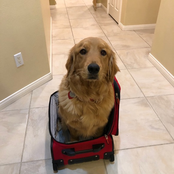 Meet your Posher, Ian - Picture 1 of 1